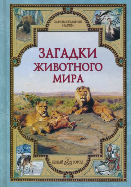 Загадки животного мира