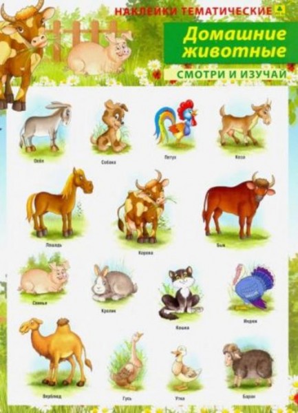 Домашние животные. Наклейки тематические