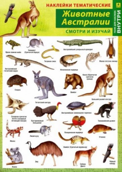 Животные Австралии. Наклейки тематические