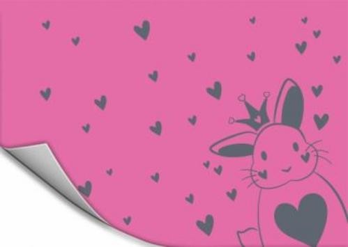 Плёнка цветная для уроков труда 50х70 см, Зайка (54029)