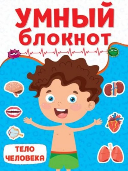 Тело человека