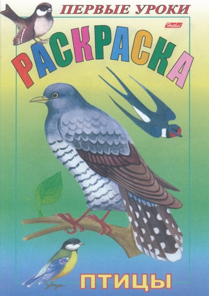 Раскраска. Птицы