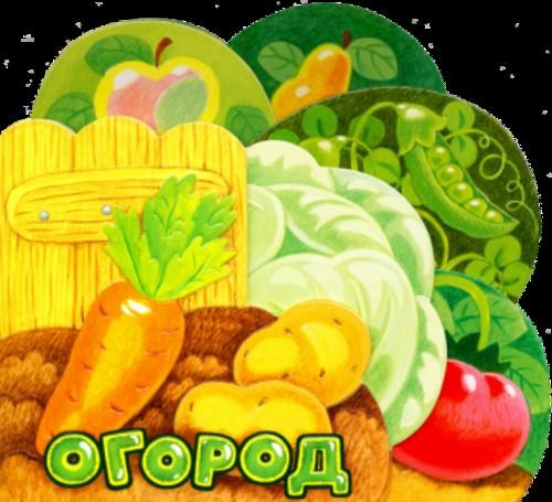 Анастасия Орлова: Первые книжки. Огород