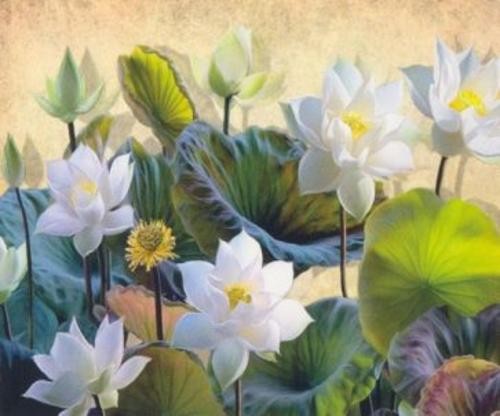 Алмазная мозаика Цветущий лотос