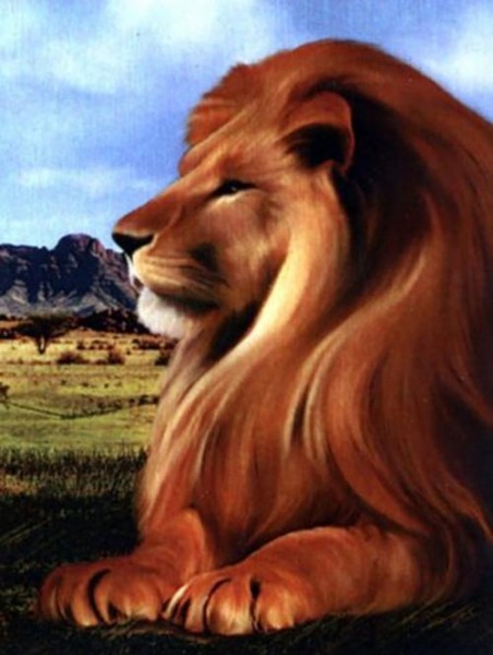 Алмазная мозаика Царь зверей