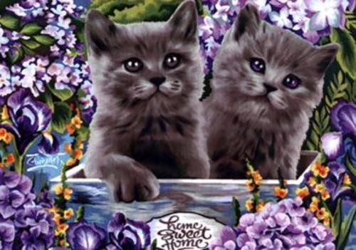 Алмазная мозаика Британские котята