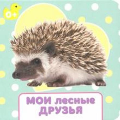 Мои лесные друзья