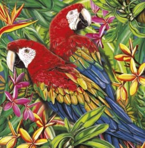Алмазная мозаика Тропические птицы, без подрамника