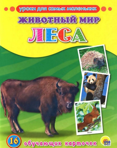 Уроки для самых маленьких "Животный мир. Леса"