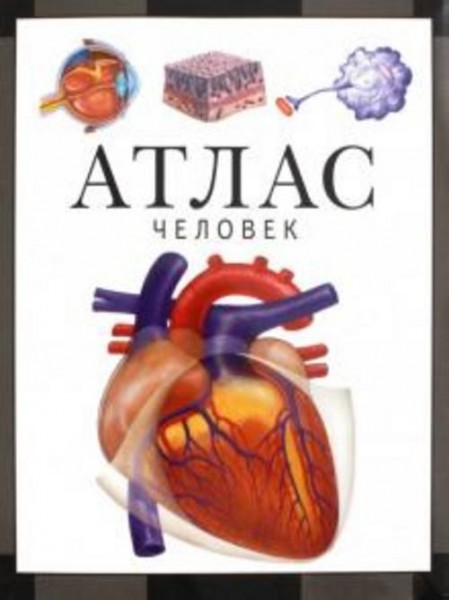 Сергей Барабанов: Человек. Атлас