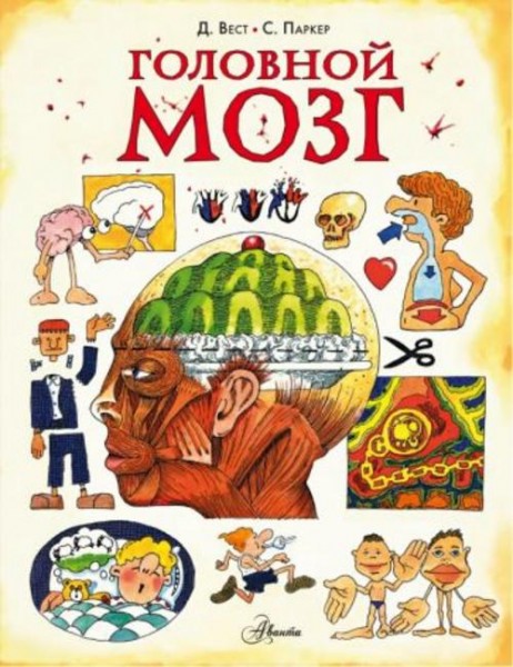 Стив Паркер: Головной мозг