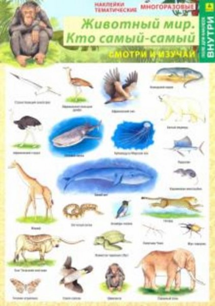 Животный мир. Кто самый-самый. Наклейки тематические