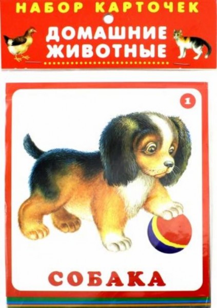 Домашние животные