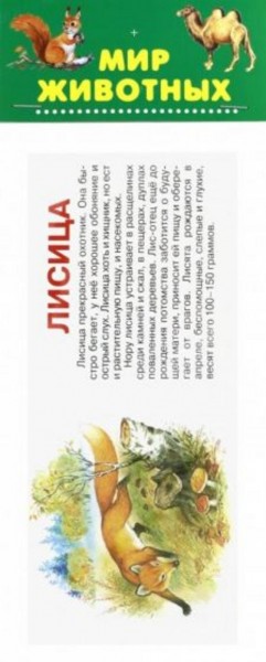 Мир животных. Набор карточек