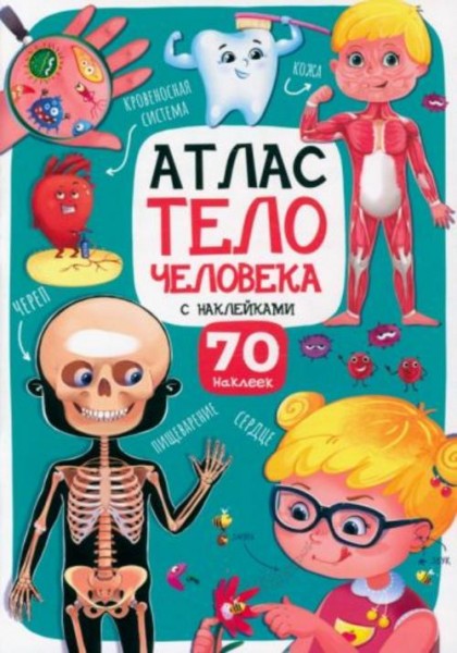 Атлас. Тело человека